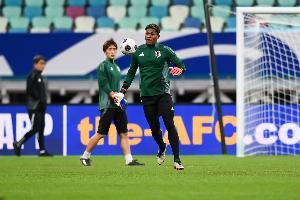 官方:铃木彩艳因伤退出本期日本队,补招另一名混血门将野泽大志